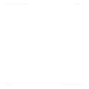 X (Twitter)